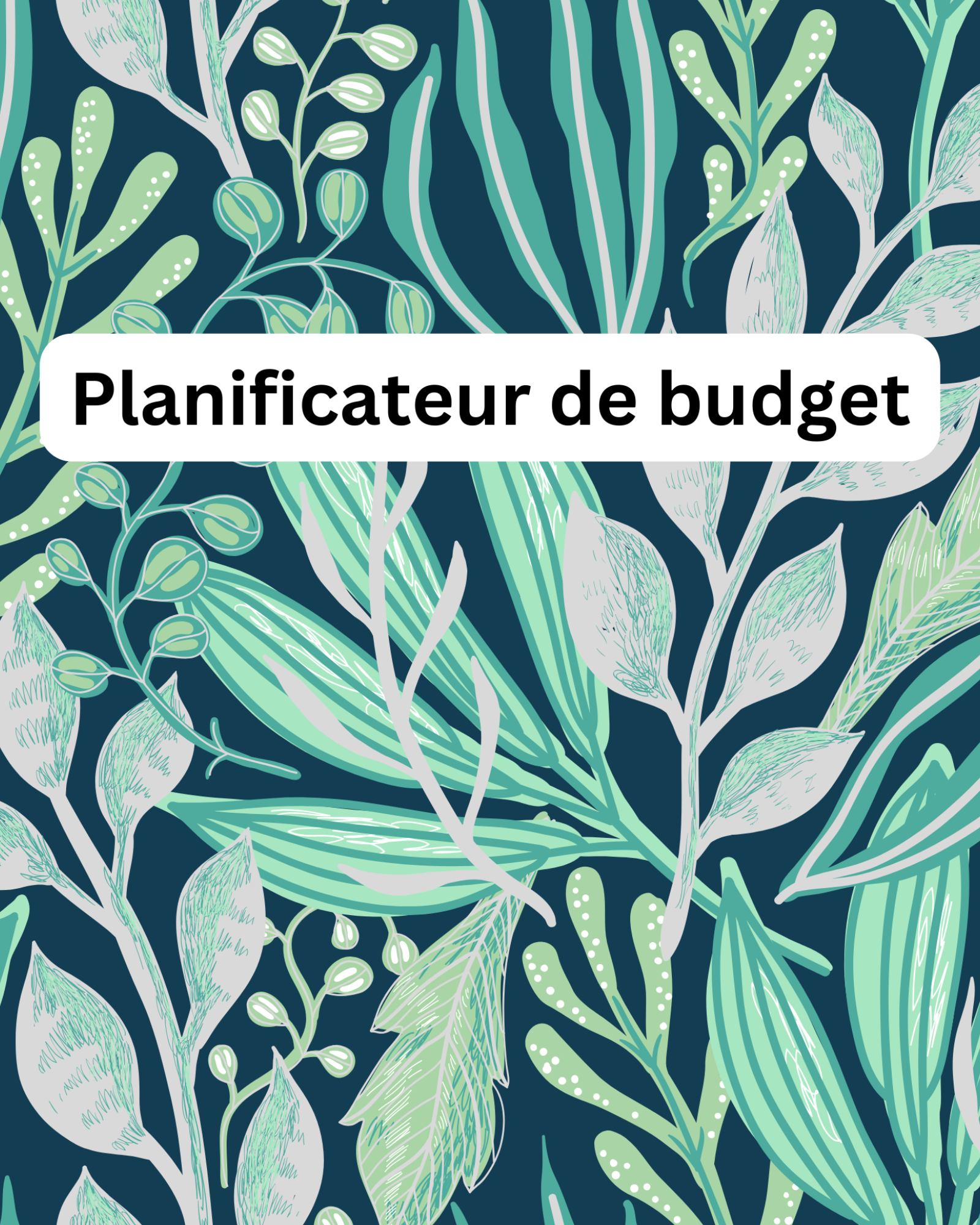Planificateur de Budget (ebook)