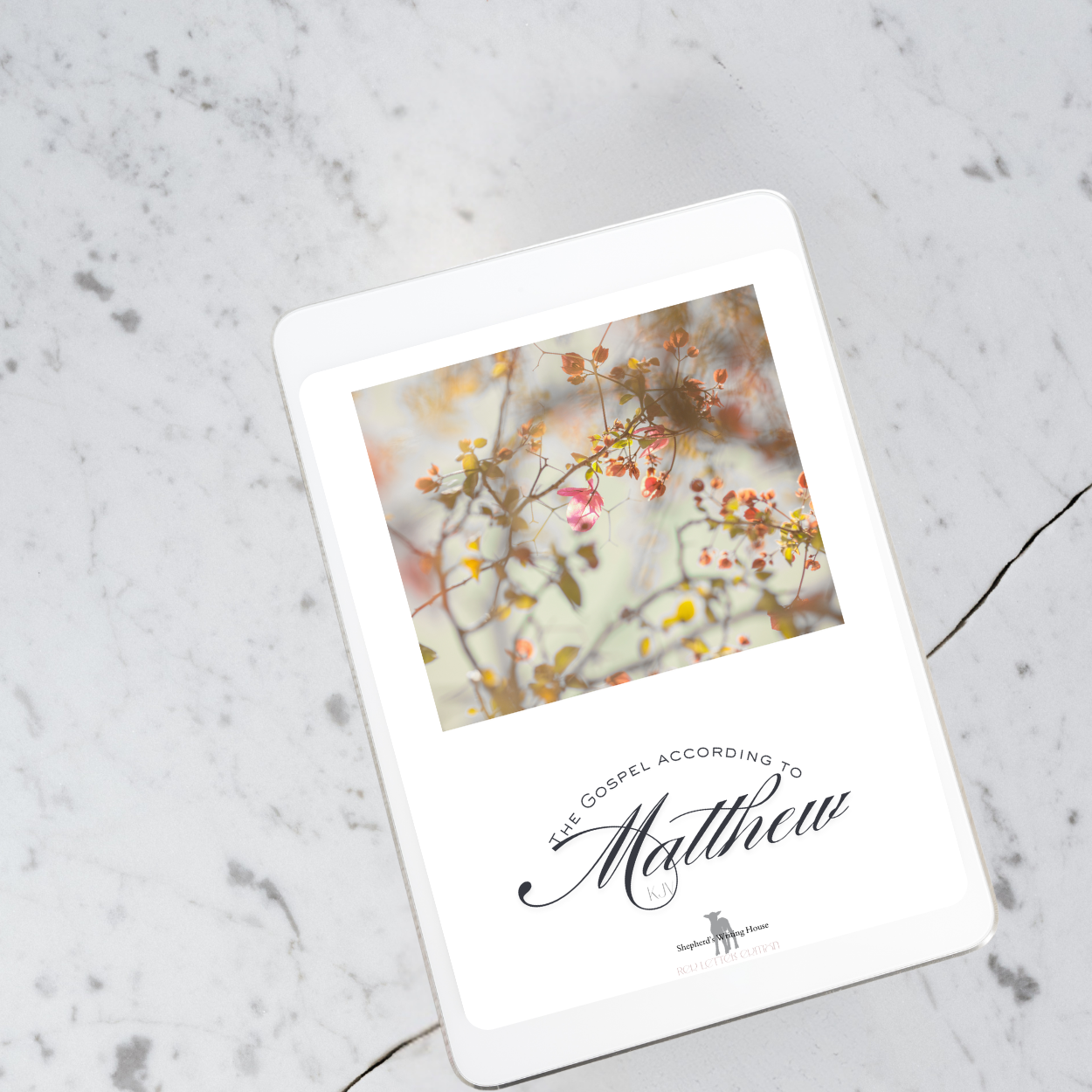 The Gospel According to Matthew