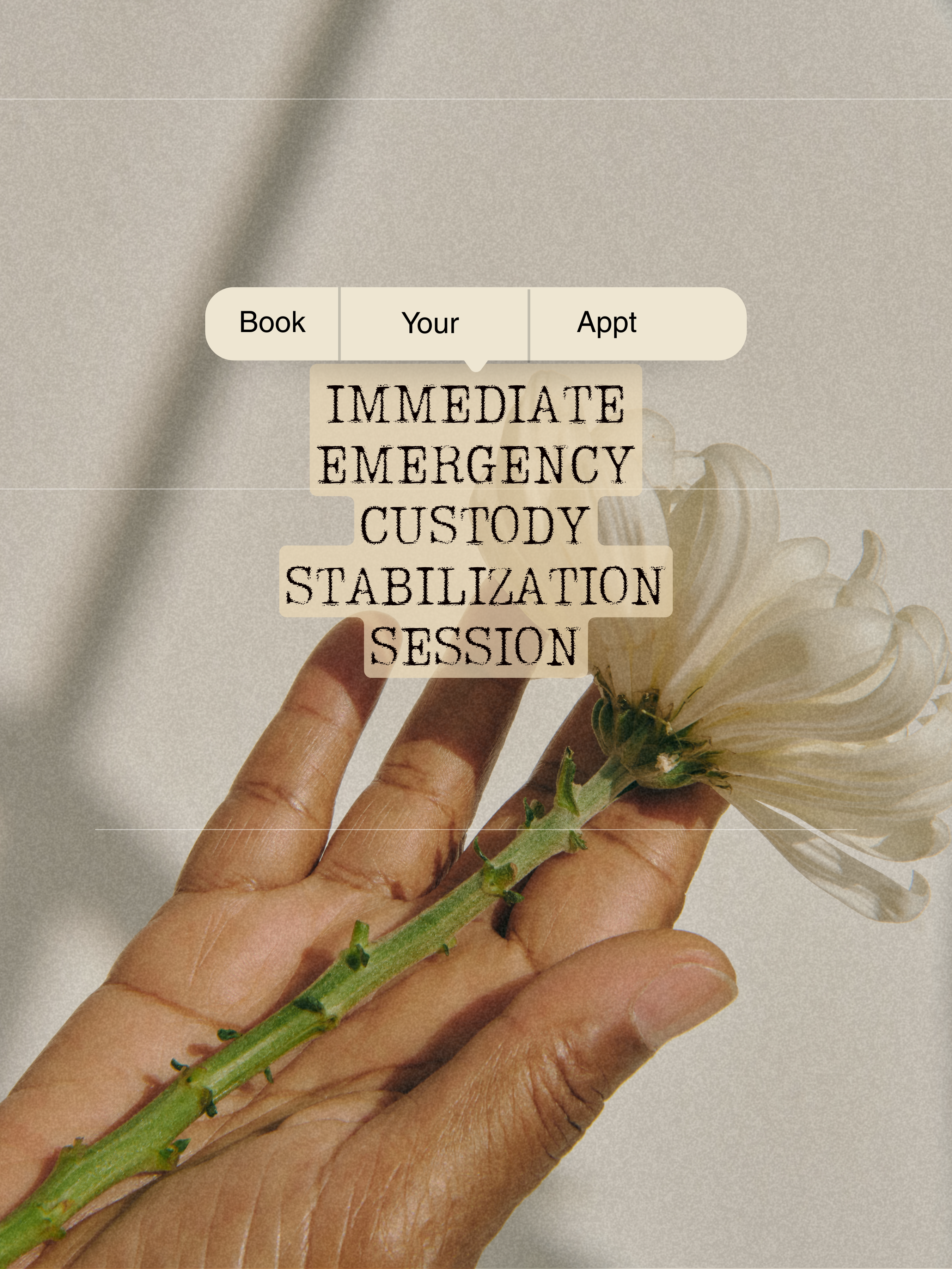 Immediate Emergency Custody Support Session — 90 Minutes