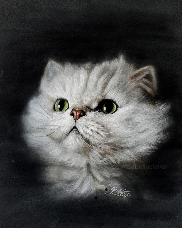 White Cat - Milkshake