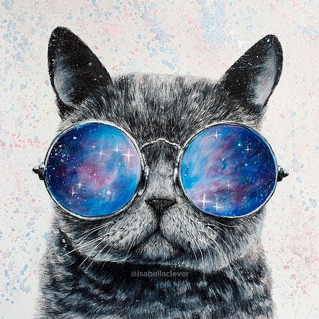 Cat in Galaxy Glasses