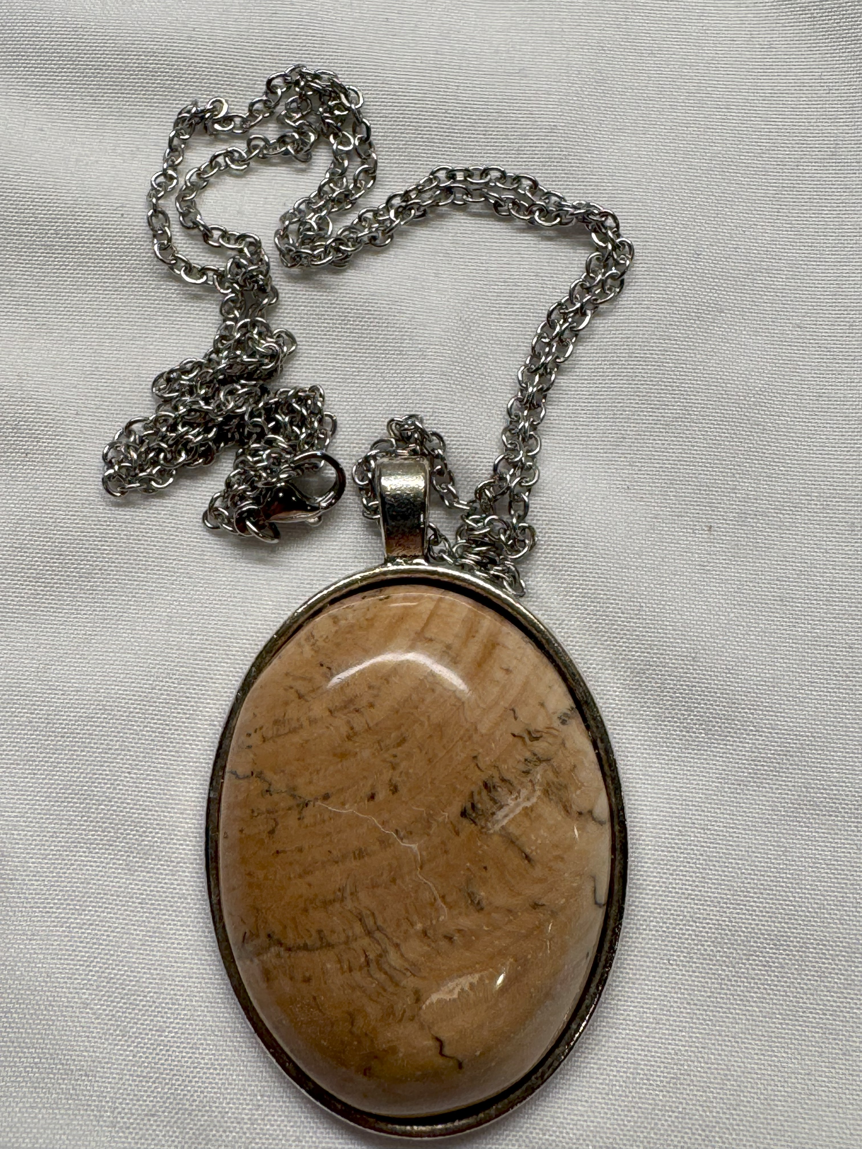 Petrified Wood Pendant with Stainless Steel Chain