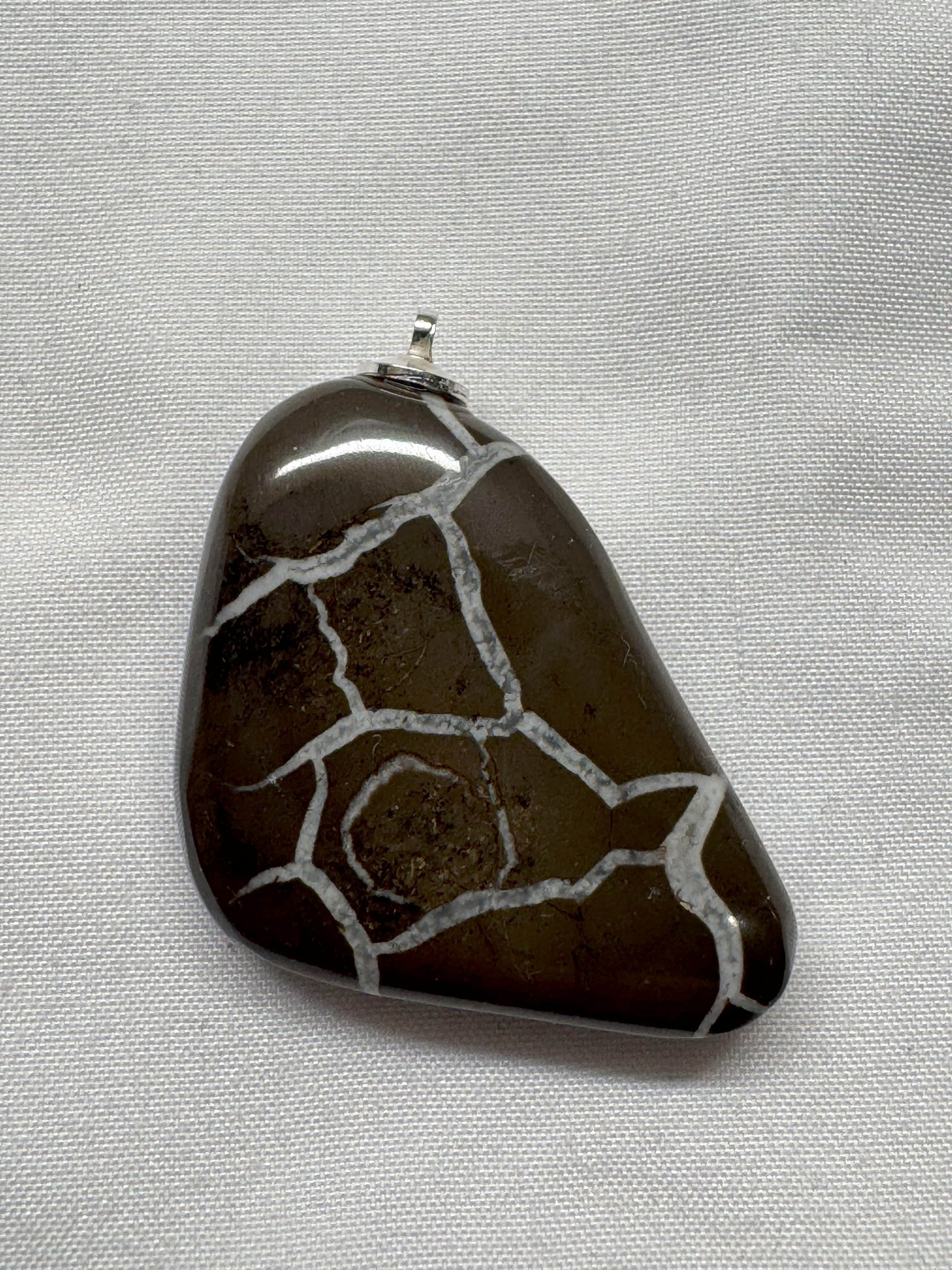 Septarian (lightning stone) Pendant with Stainless Steel Chain