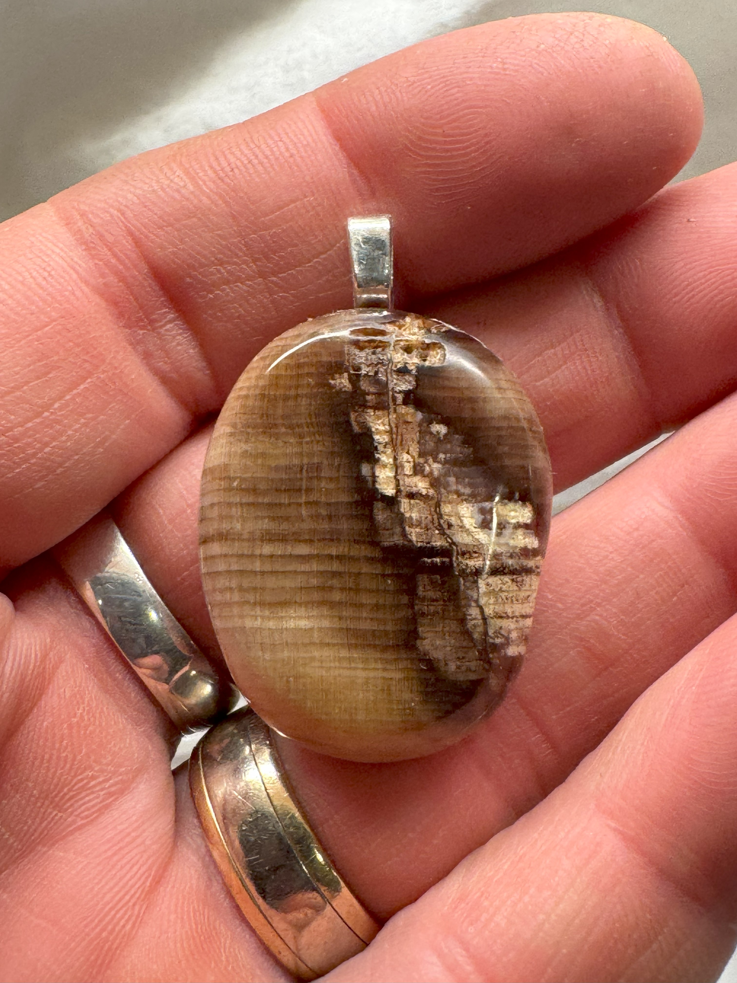 Petrified Wood Pendant with Stainless Steel Chain