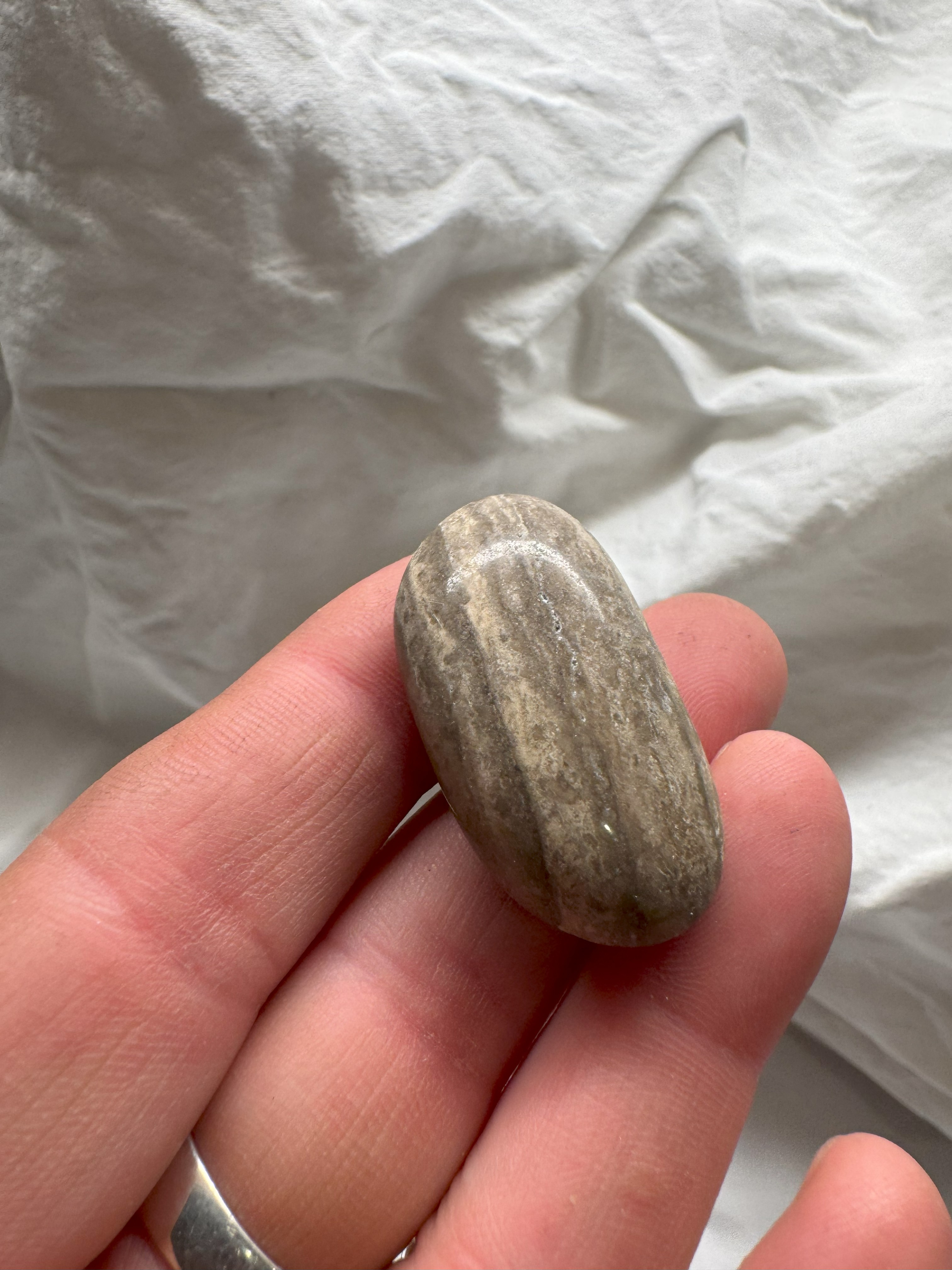 Magnet