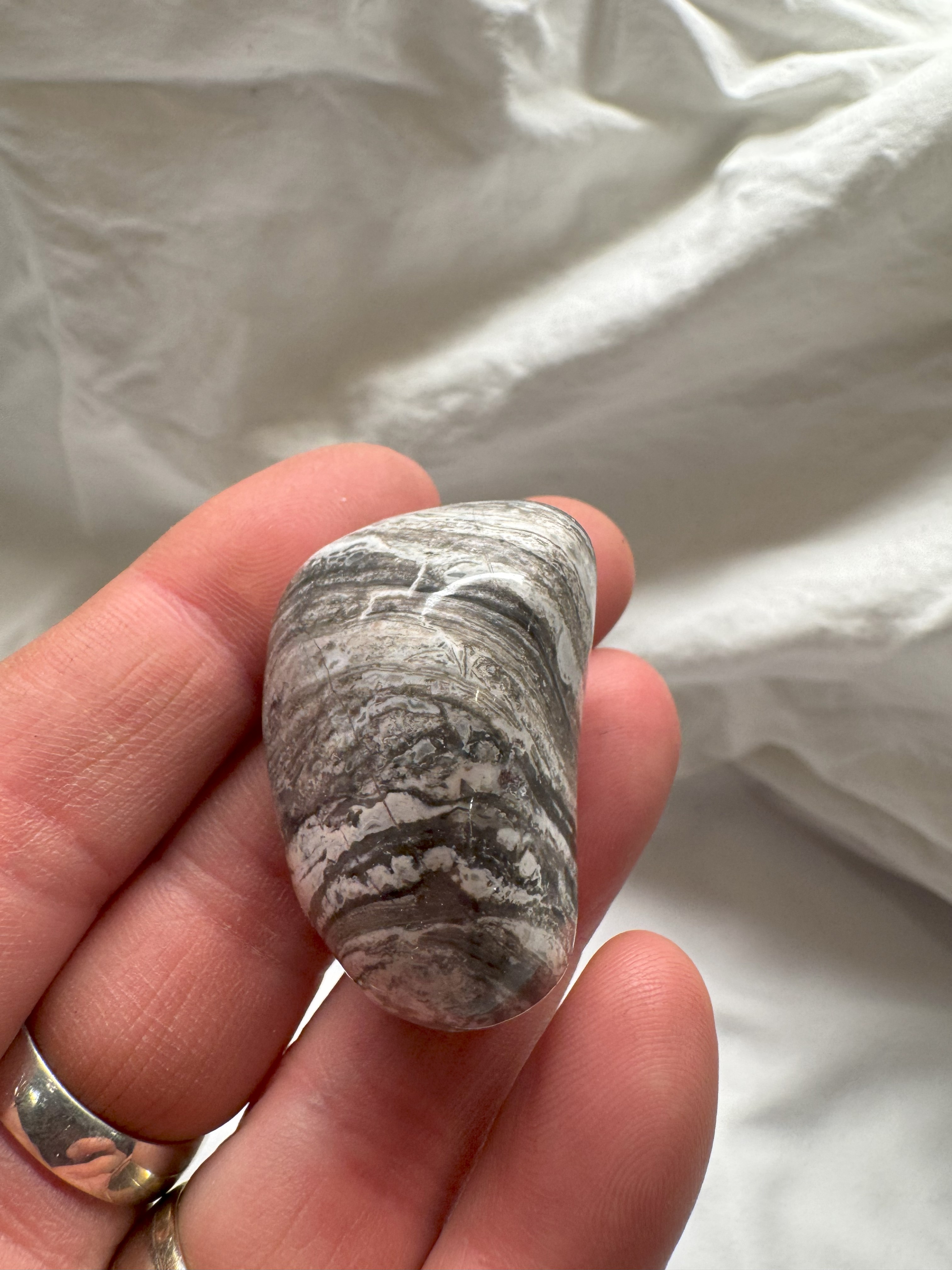 Magnet Banded Chert