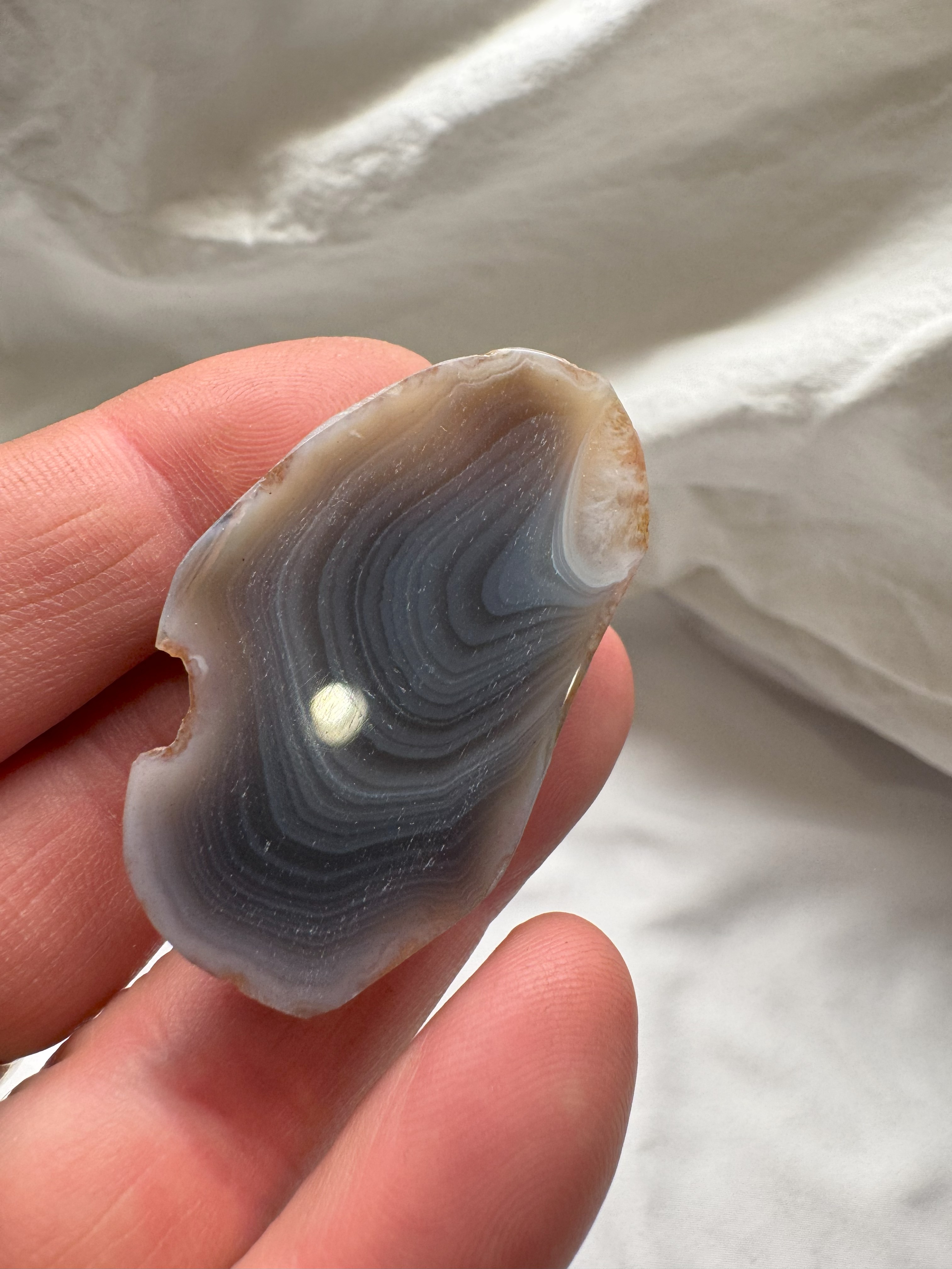 Magnet Botswana Agate 