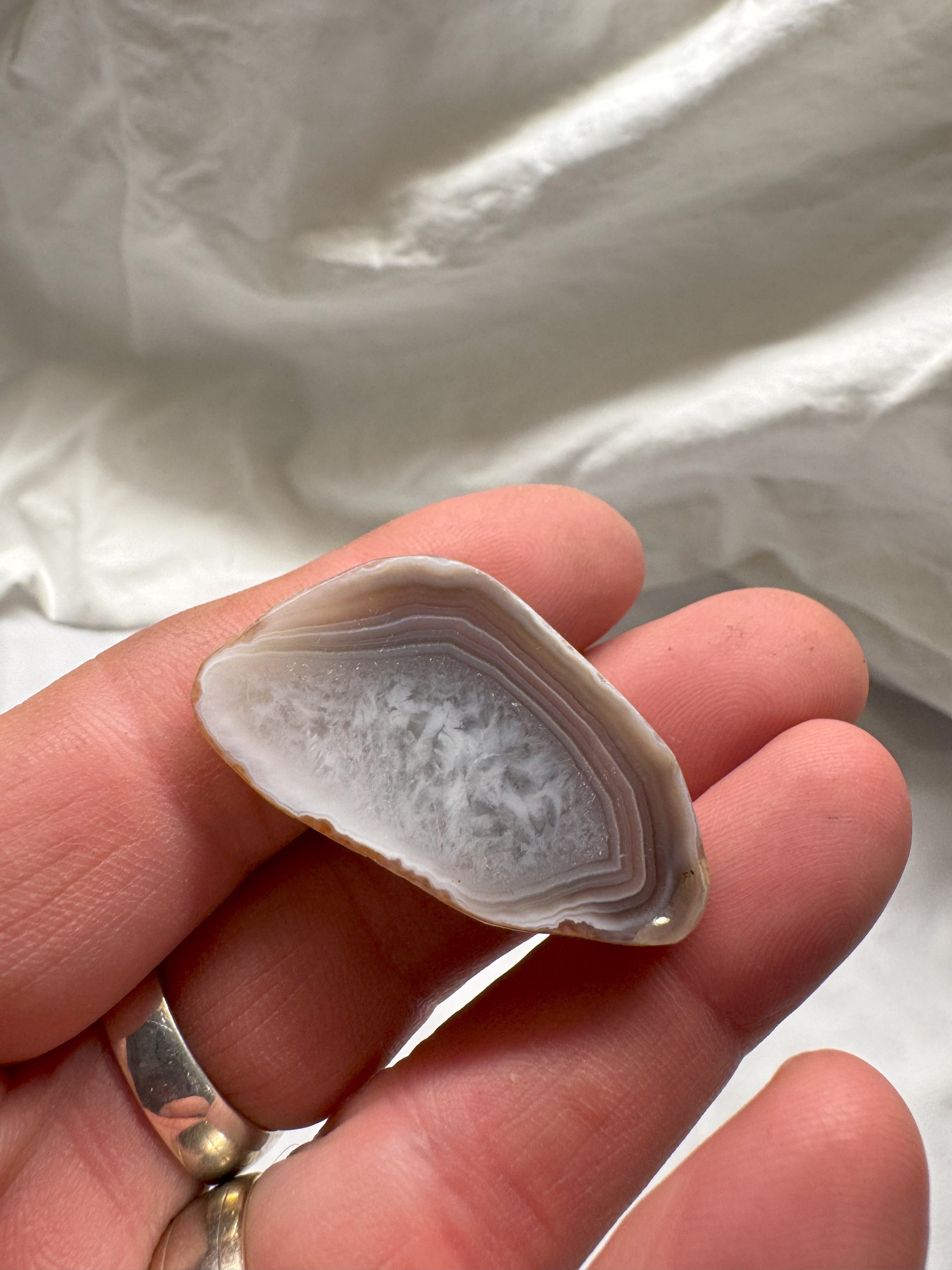 Magnet Botswana Agate 
