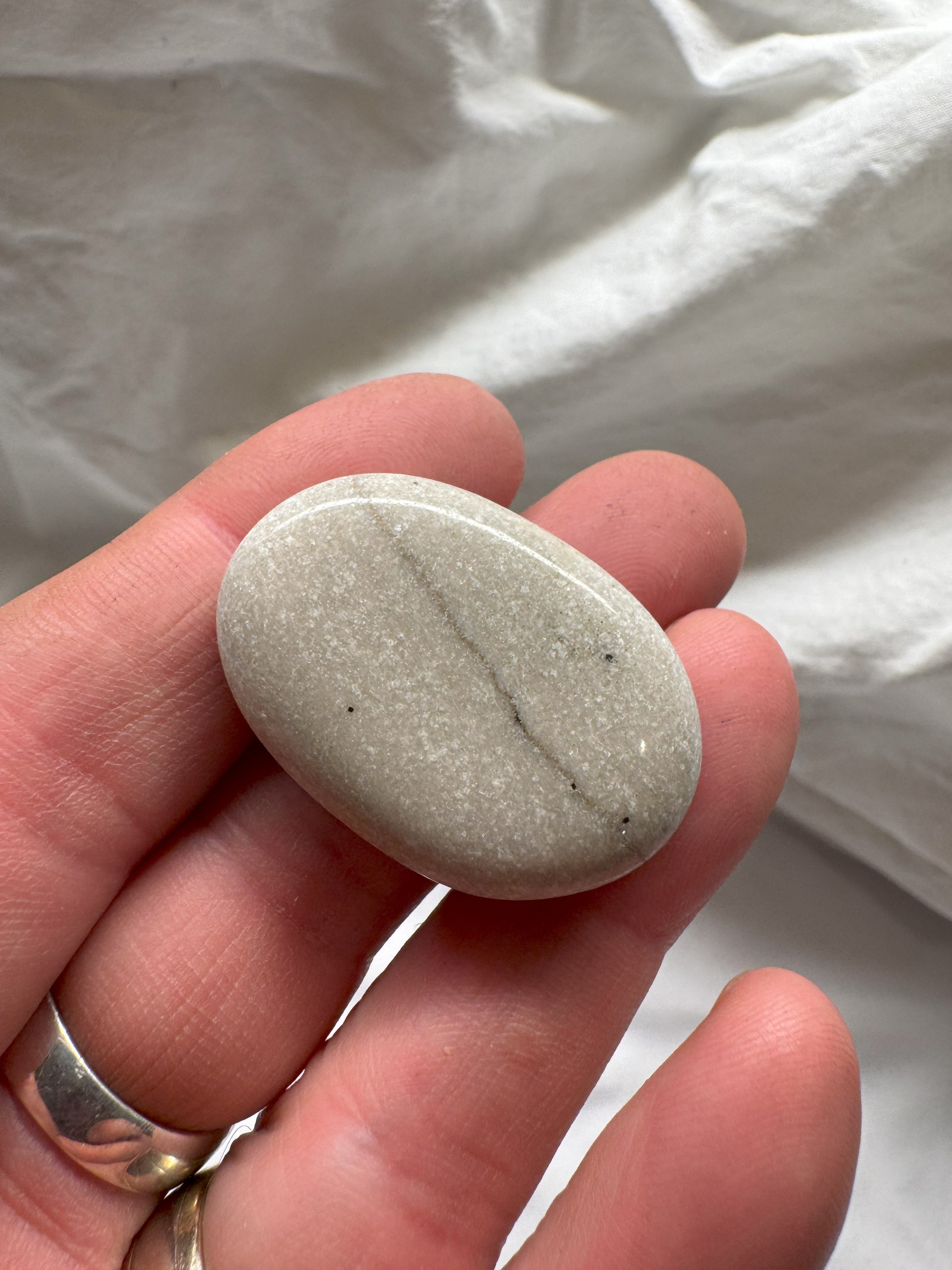 Magnet