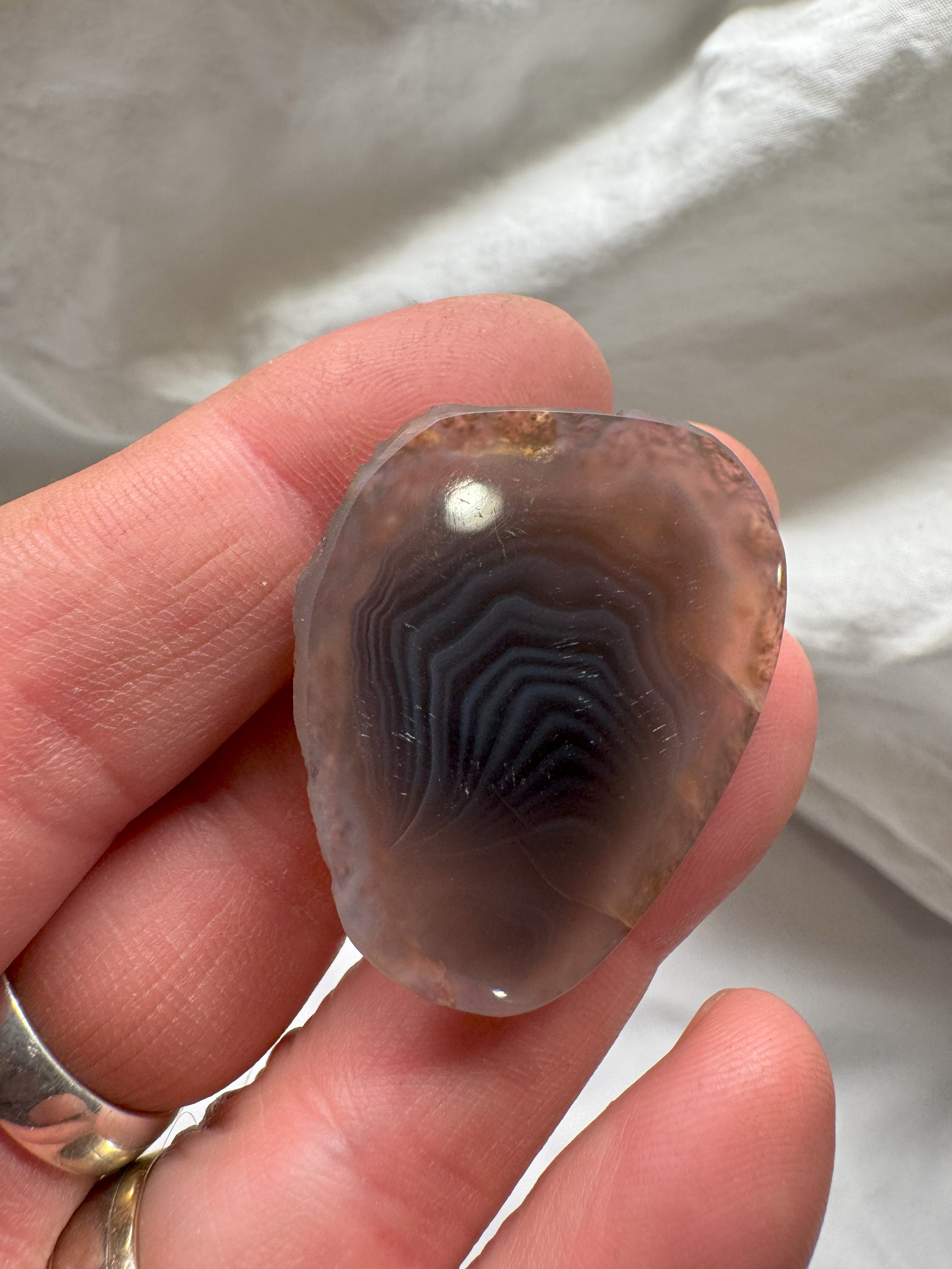 Magnet Botswana Agate