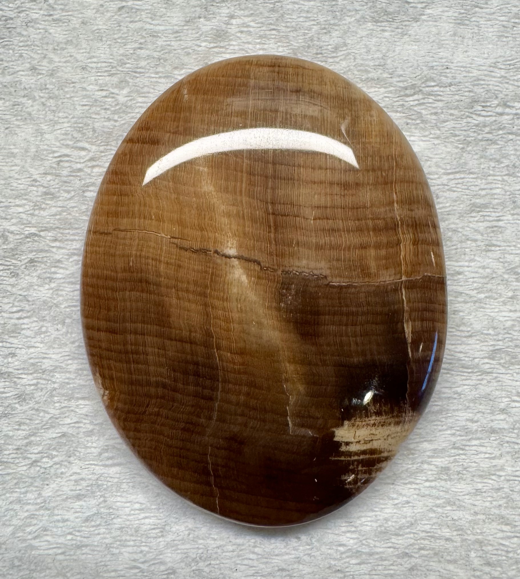 Petrified Wood Cabochon Pendant ~ 1.5"x1.25"