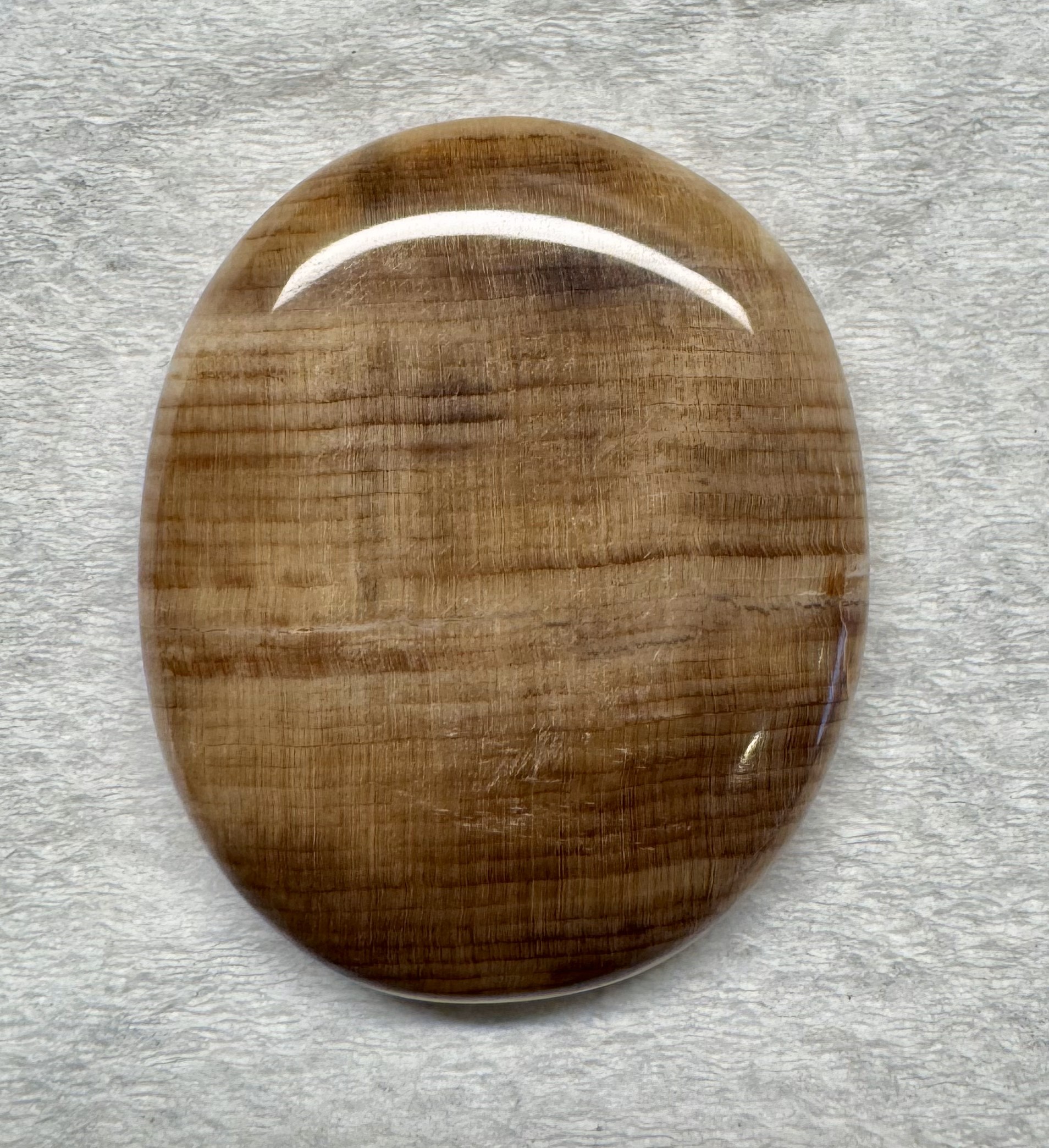 Petrified Wood Cabochon Pendant ~ 1.5"x1.25"