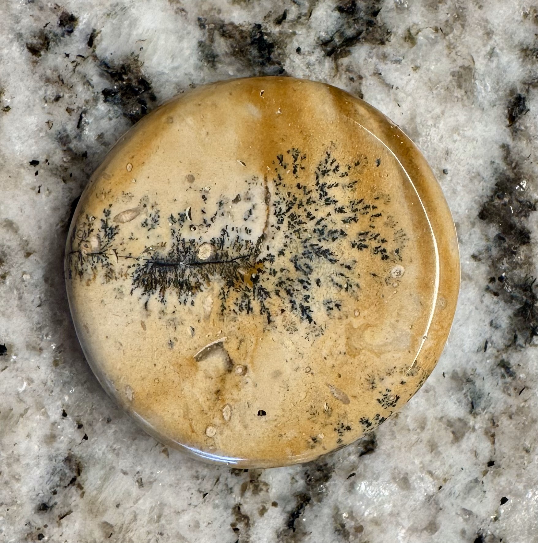 Jasper Cabochon Pendant ~1.25" in diameter