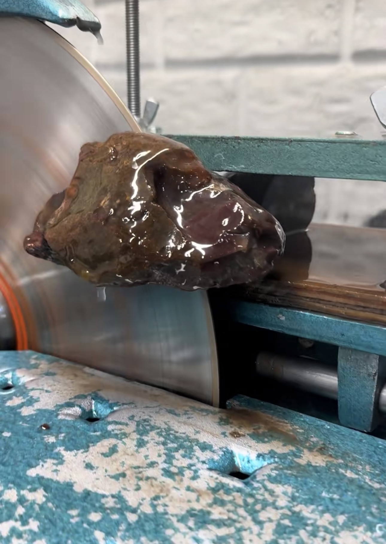 Put my saws to work for you!