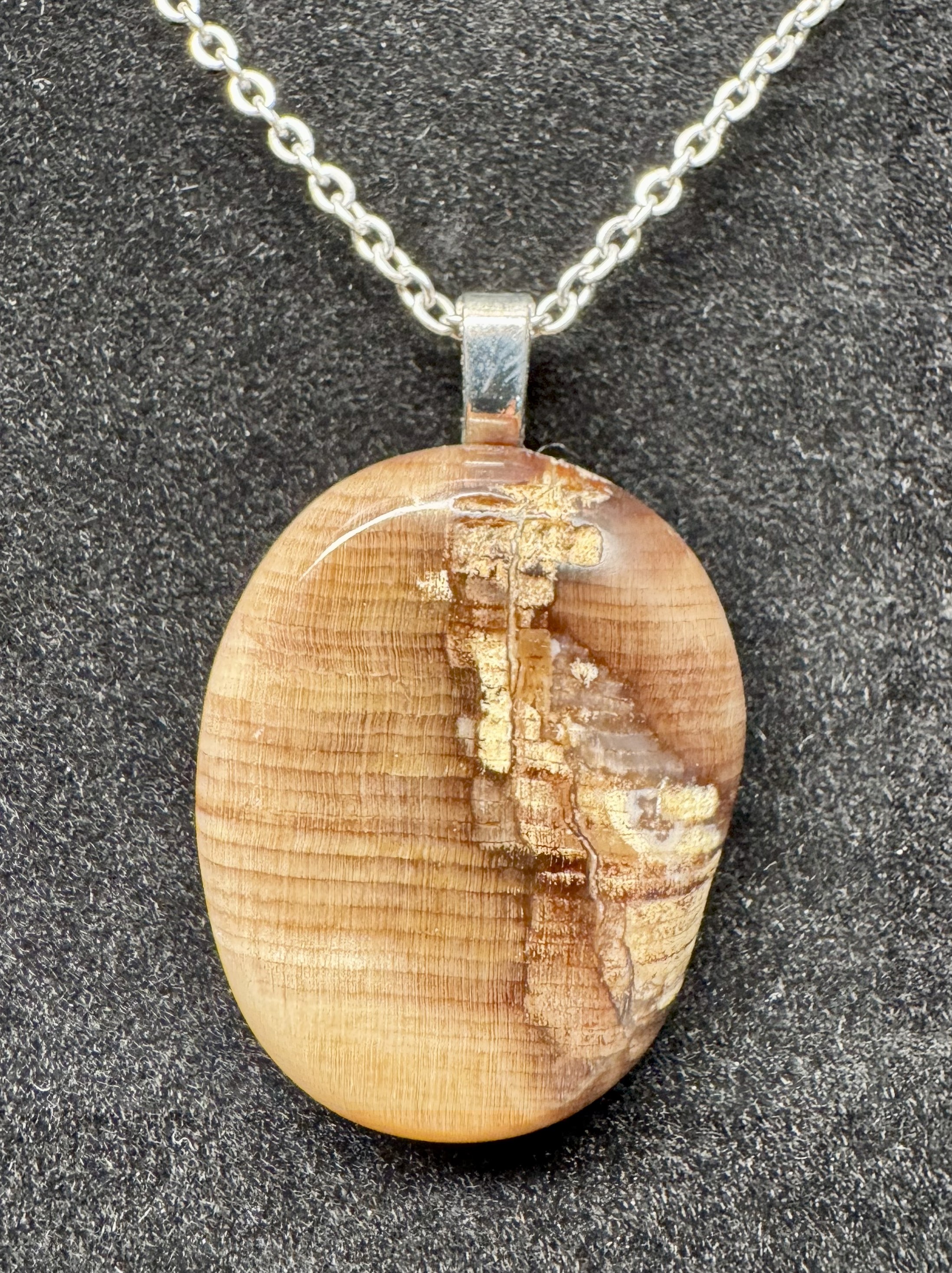Petrified Wood Pendant with Stainless Steel Chain