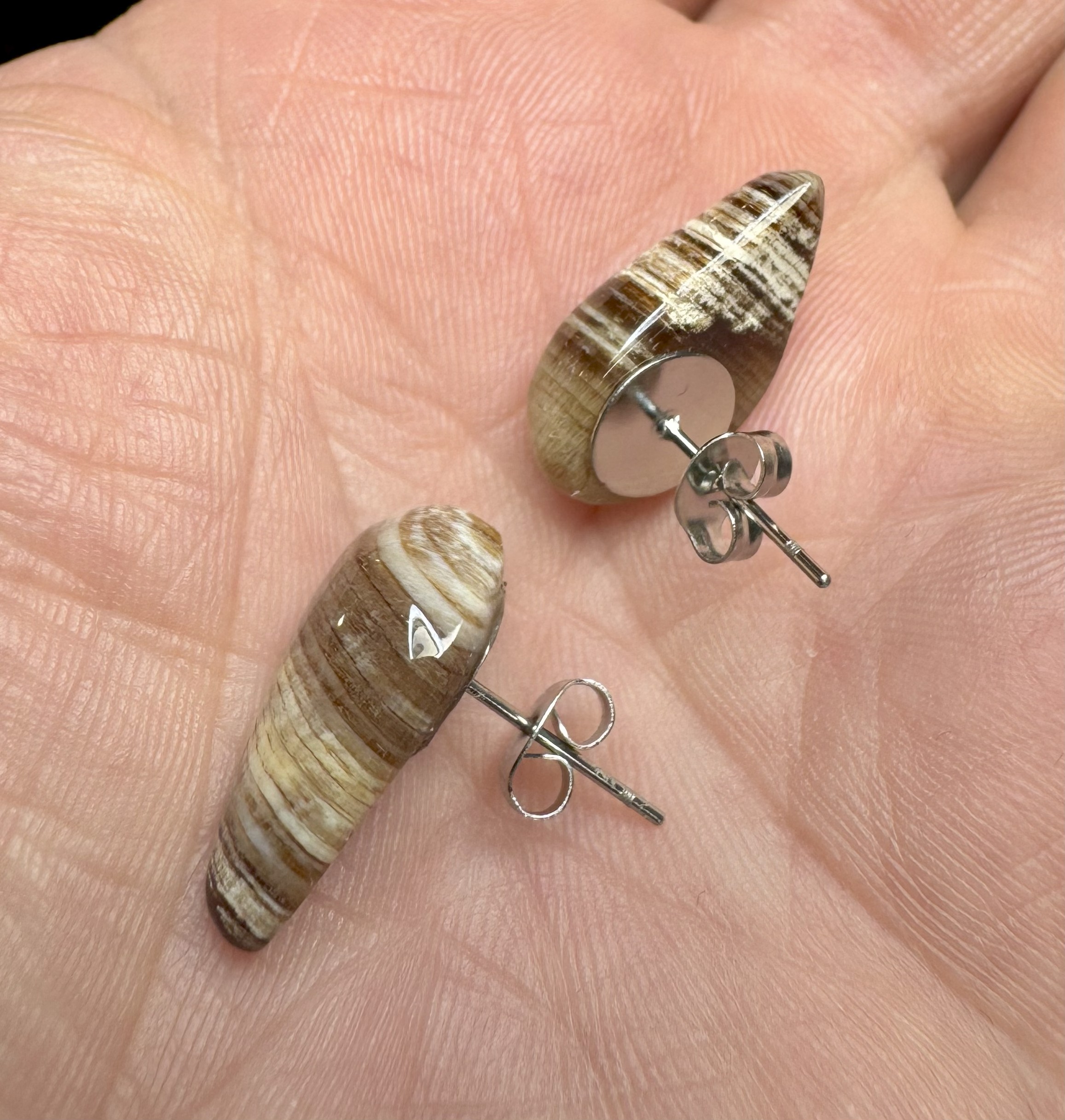 Petrified Wood Earrings