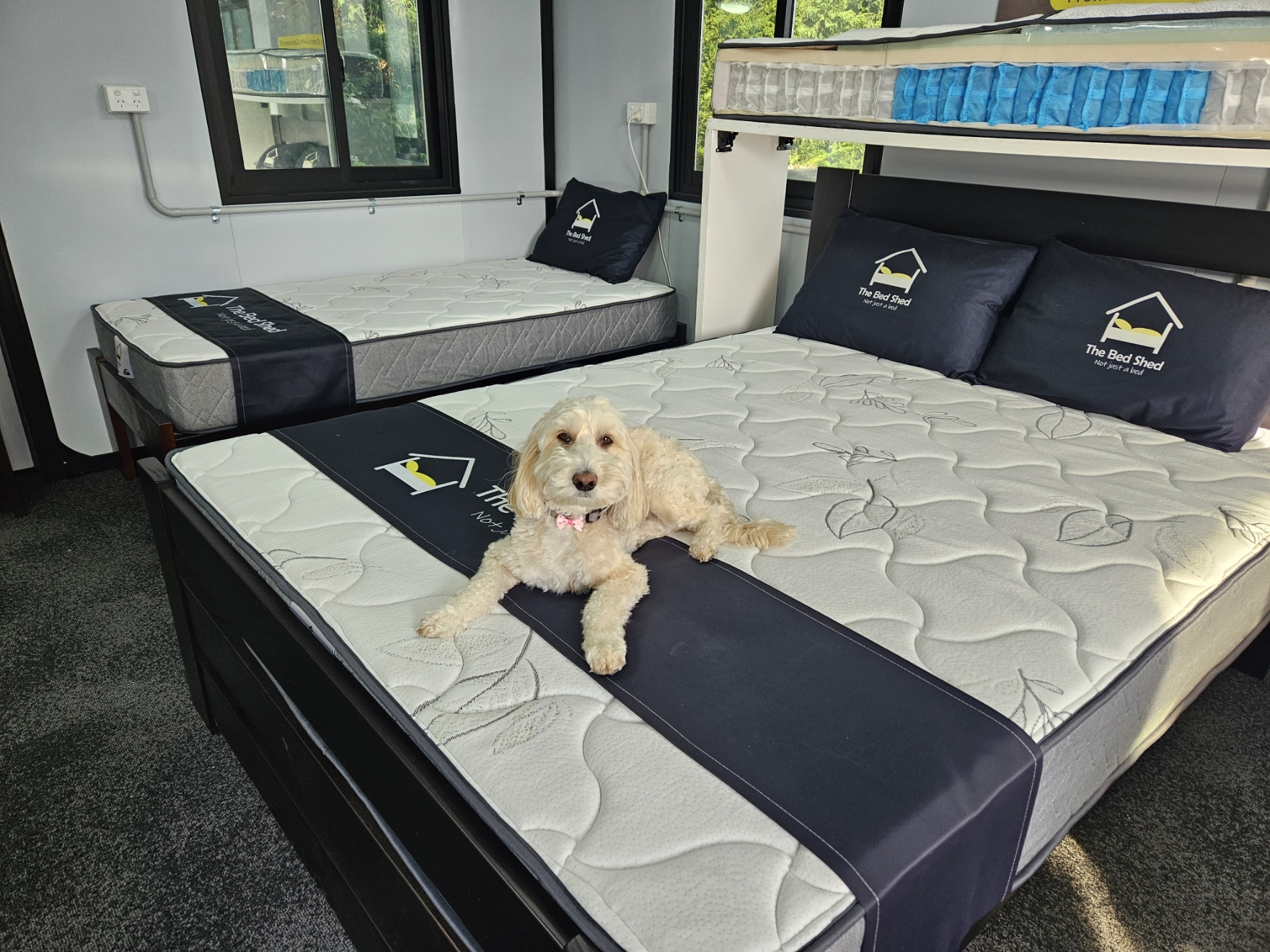 Pocket Spring Mattress 