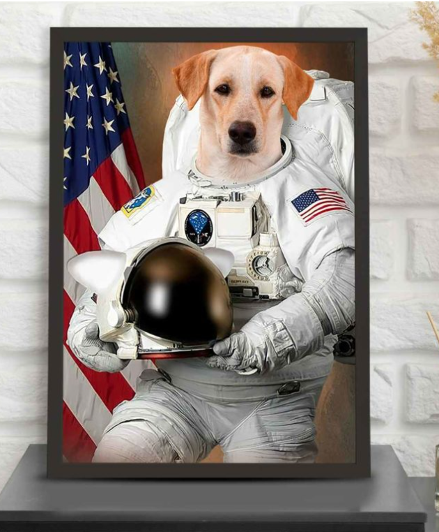 Custom Theme Pet Poster A4 size 8*12 Inch Framed