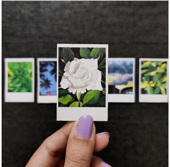 Polaroid Art Print with White Rose