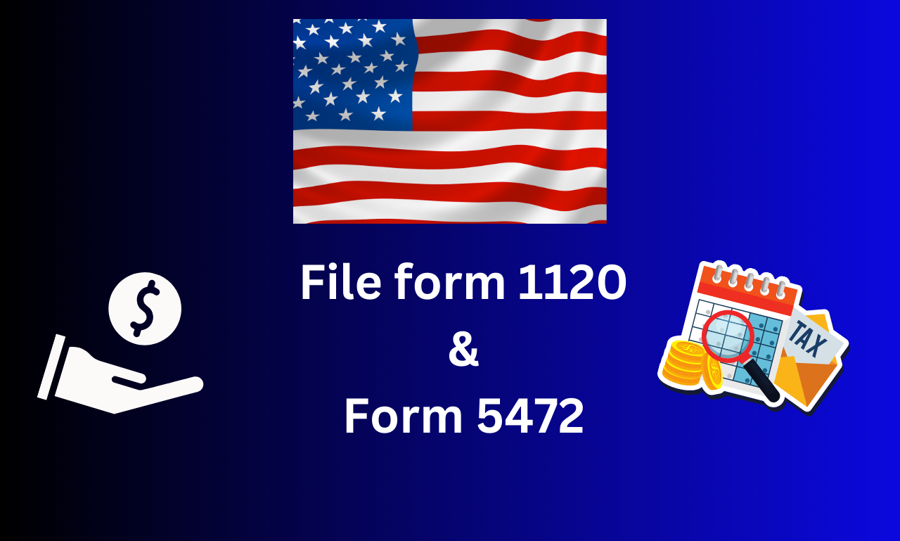 Foreign Owned LLC - Tax Filing
