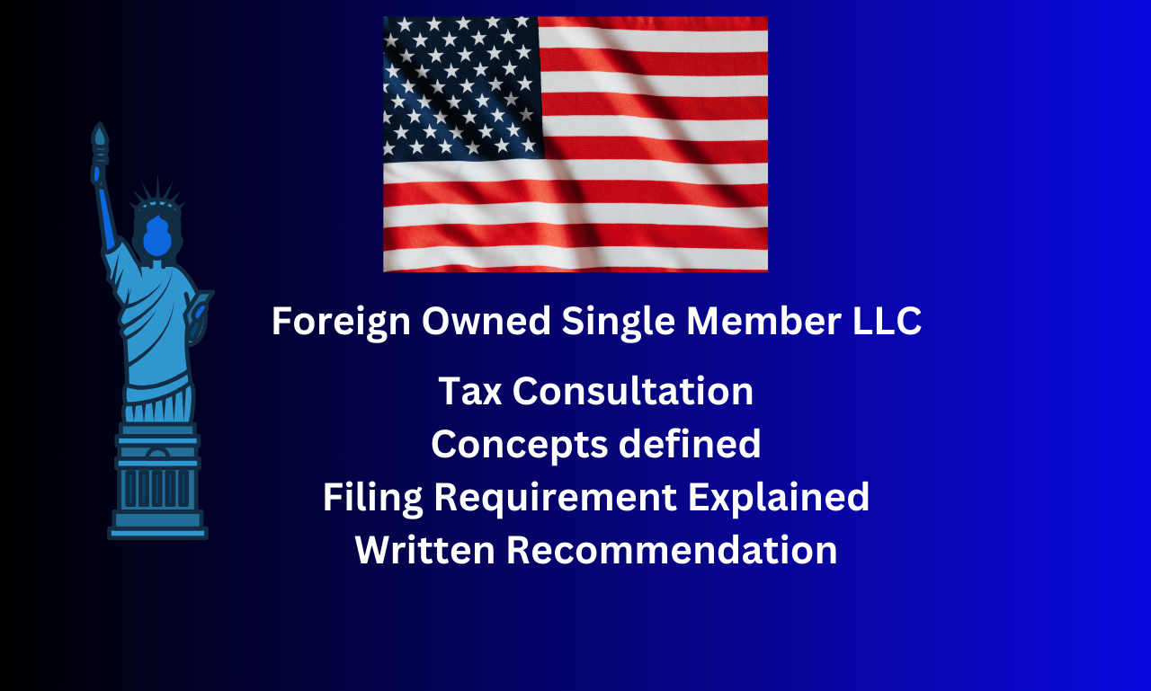 Foreign Owned Single Member LLC Consultation Service