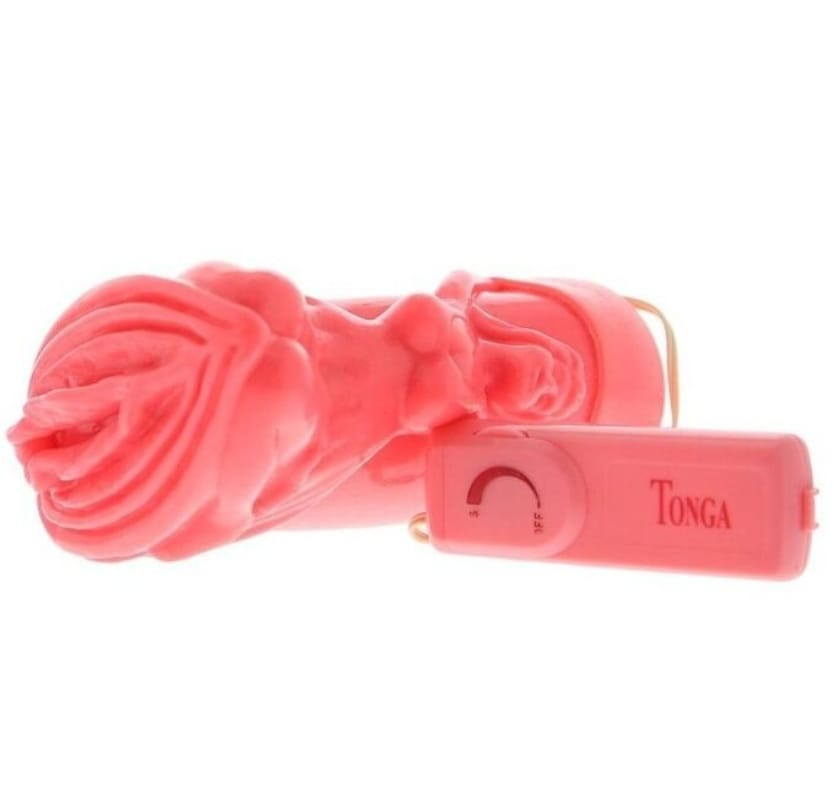 THE VIRGIN VIBRATOR