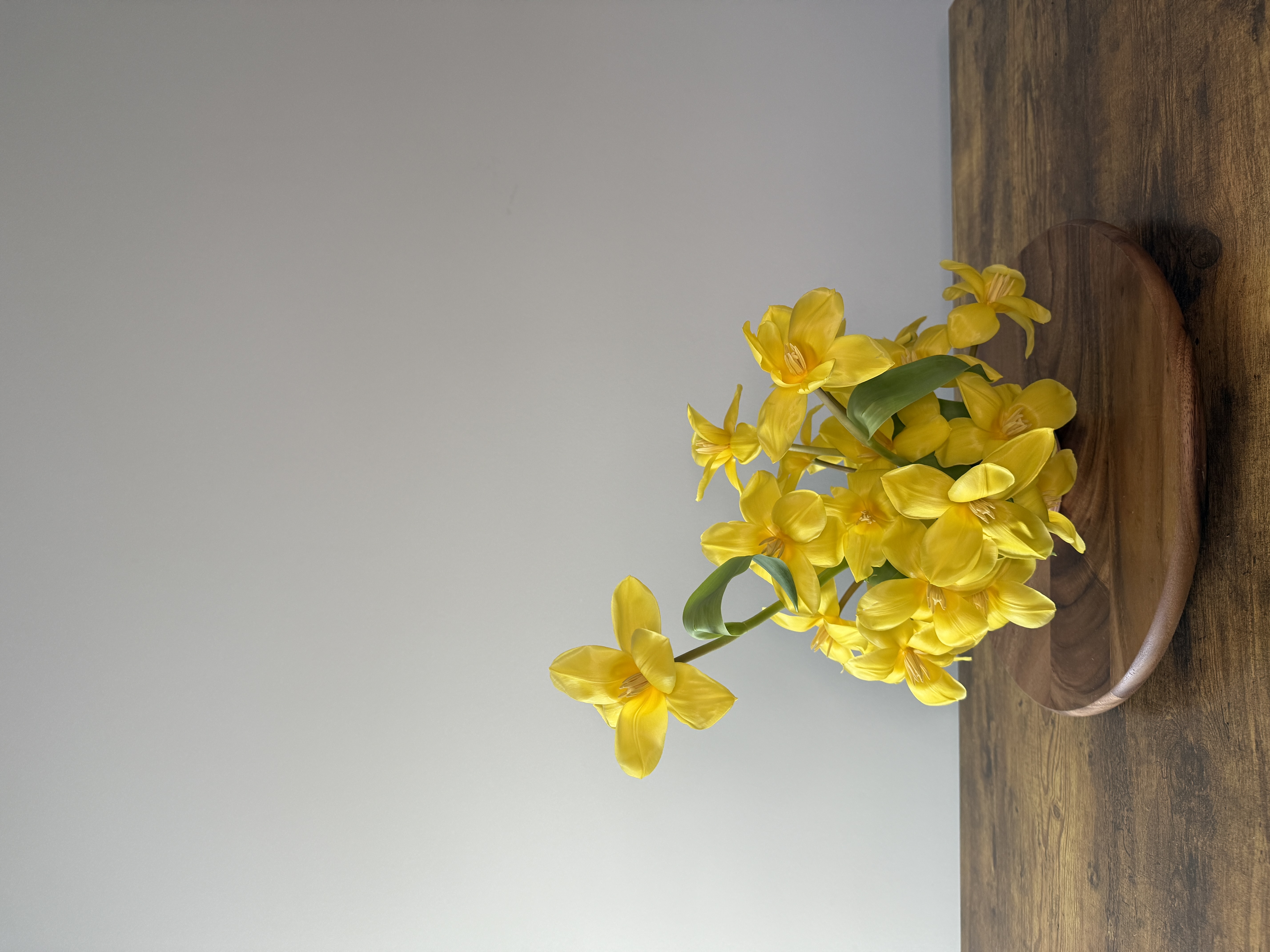Tulip Waltz
