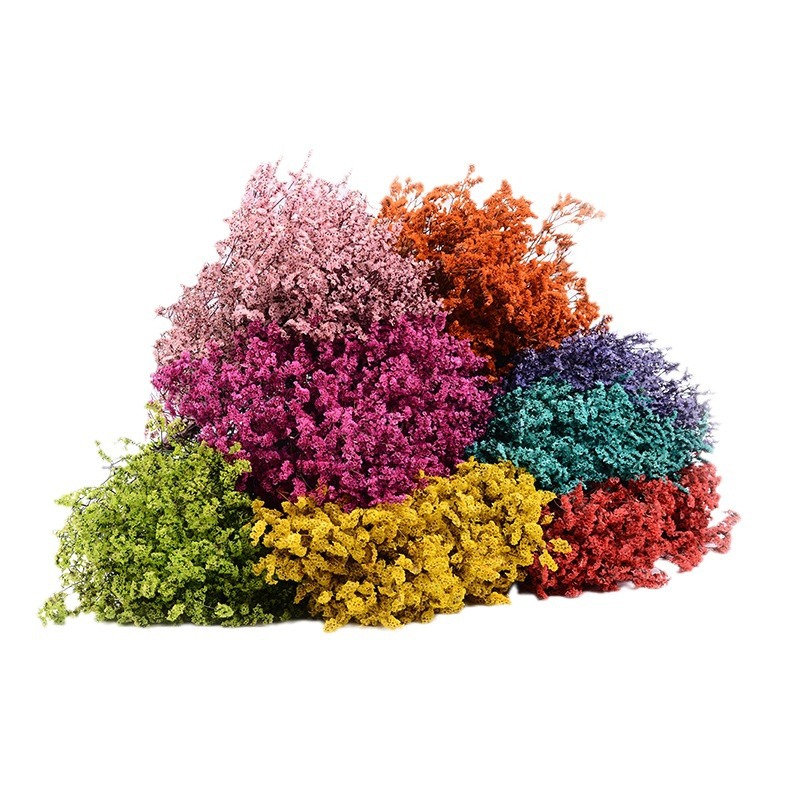 Crystal Grass