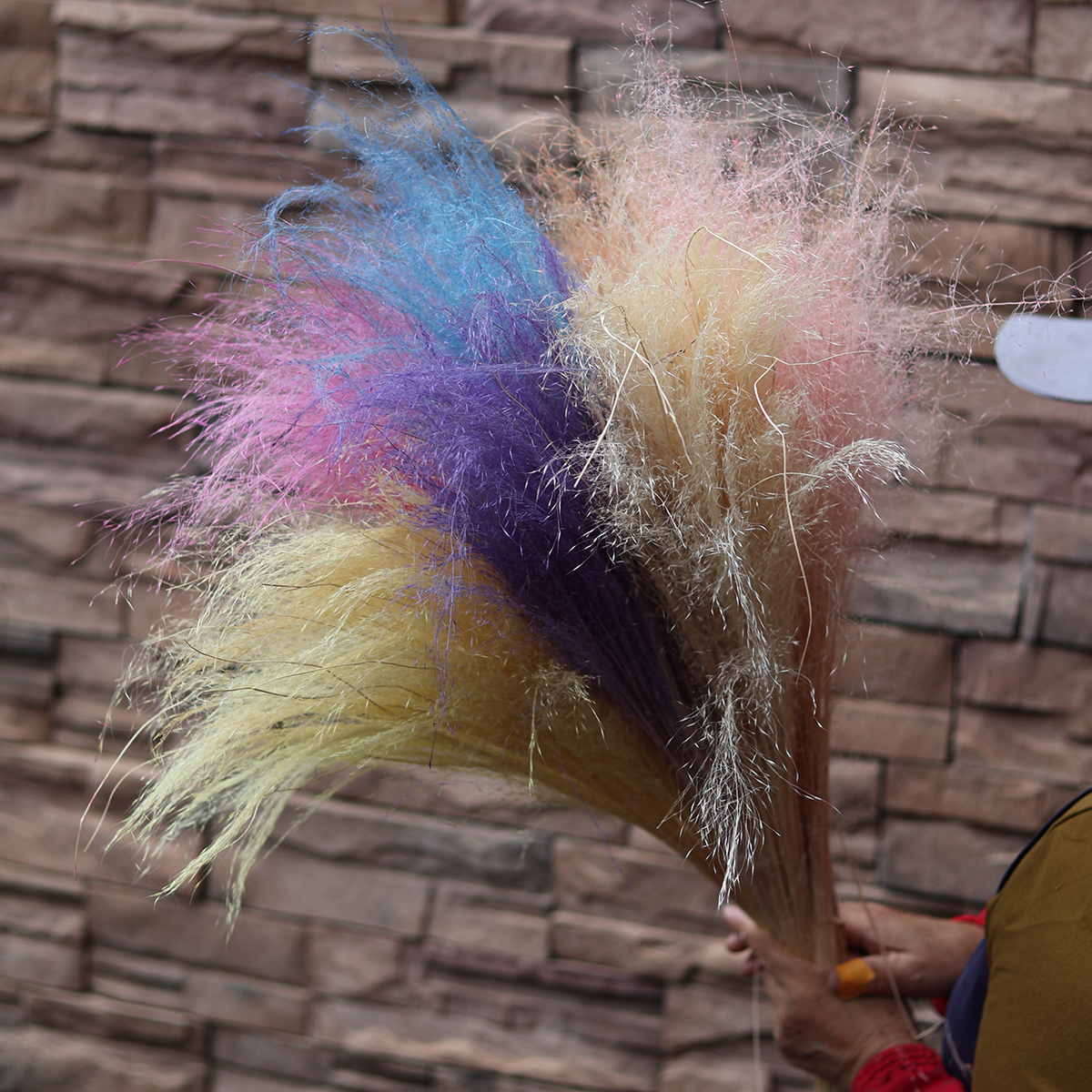 Muhly Grass