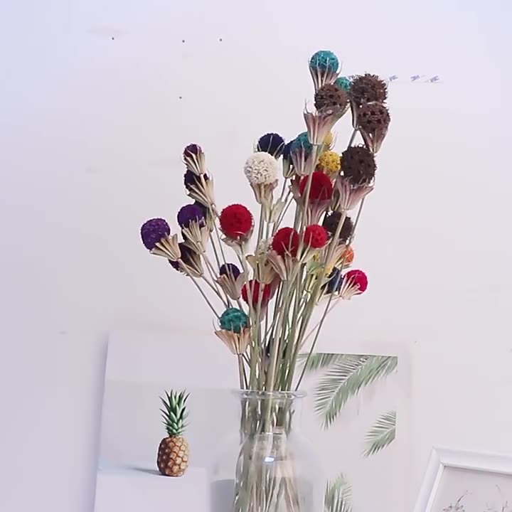 Windmill Fruit 