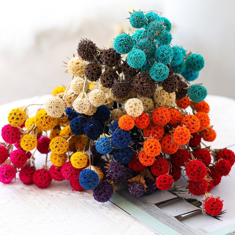 Windmill Fruit 