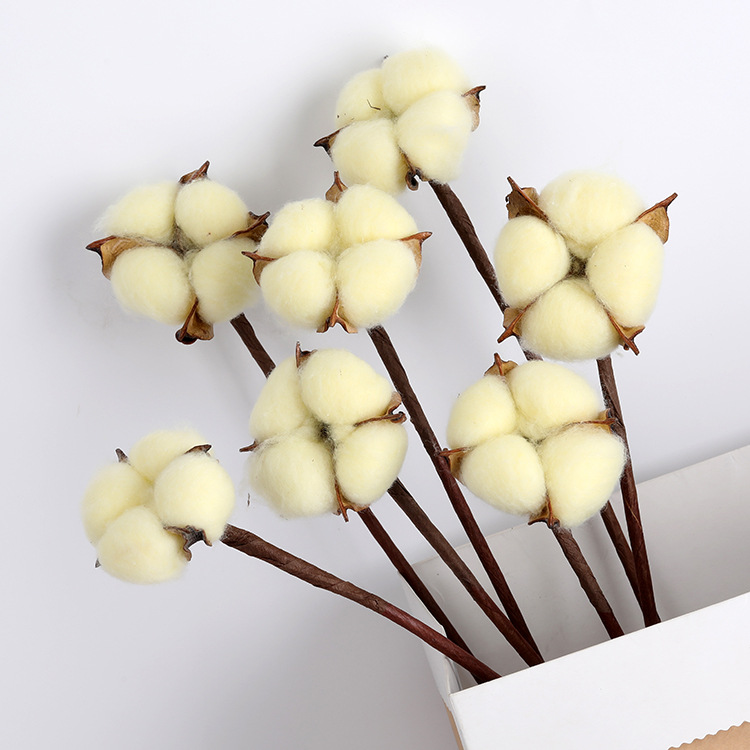 Single Head Cotton