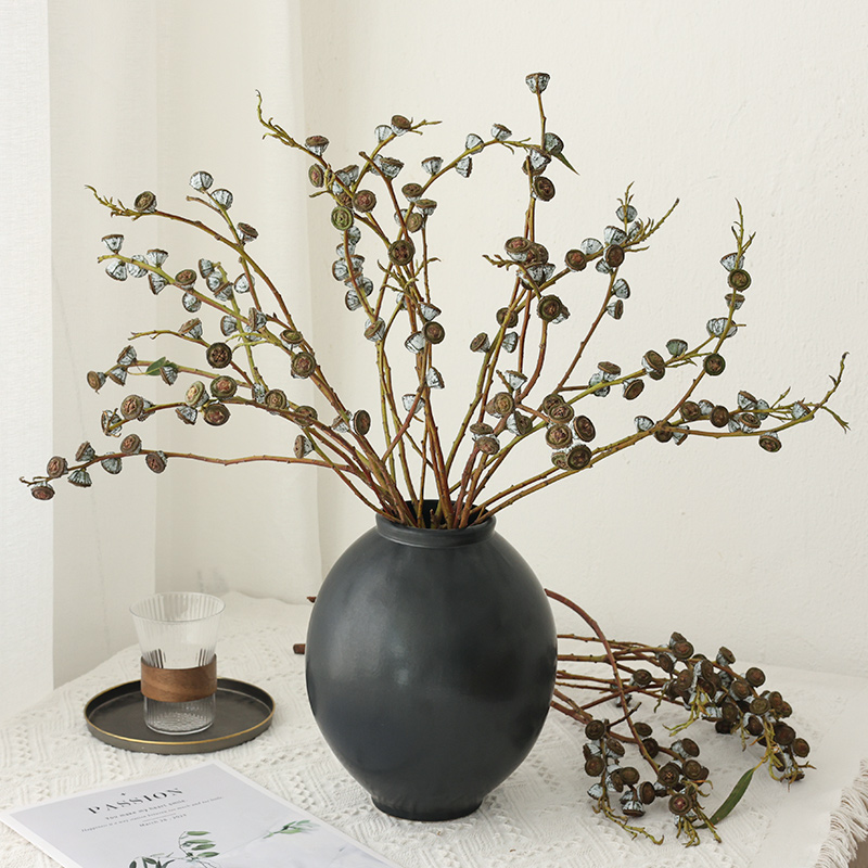 Eucalyptus Fruit/Dried Zombie Fruit Flower 