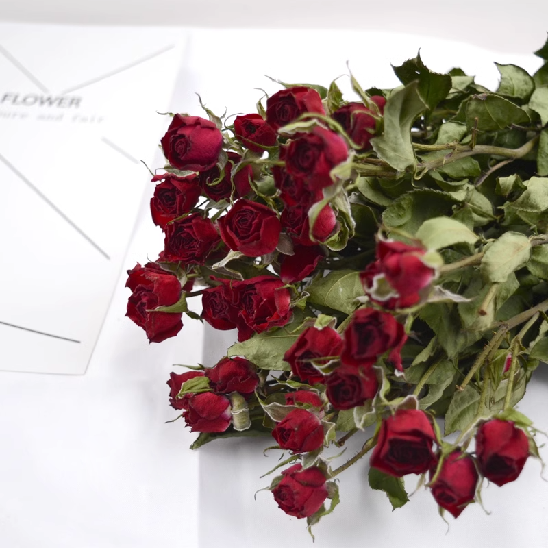 Multi-headed Rose