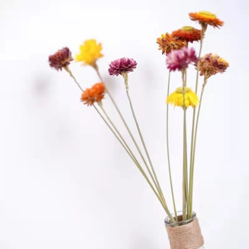 Chrysanthemums