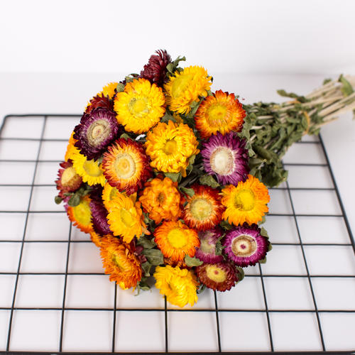 Chrysanthemums
