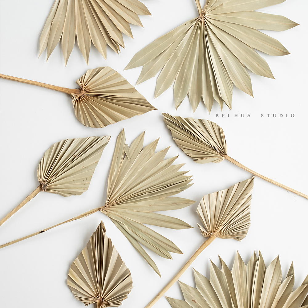 Palm Leaves