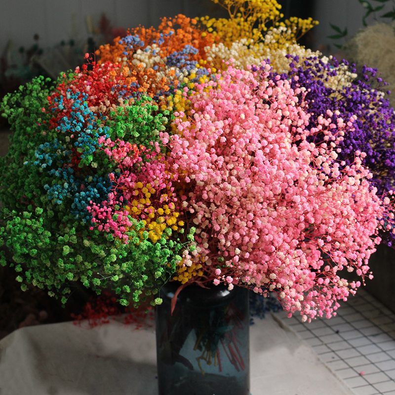 Gypsophila/Babys Breath