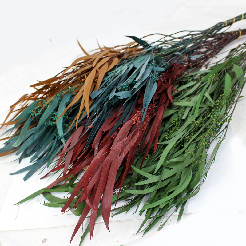 Millet fruit leaves