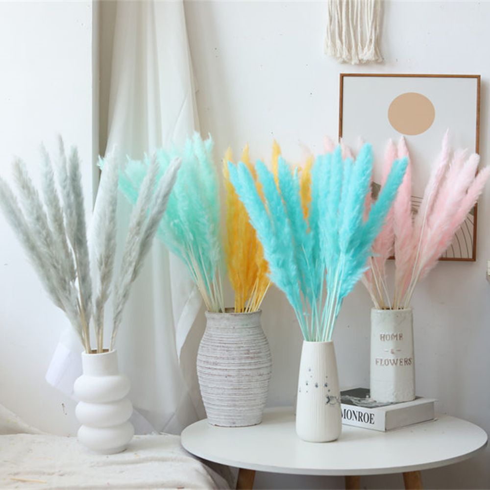 Pampas Grass