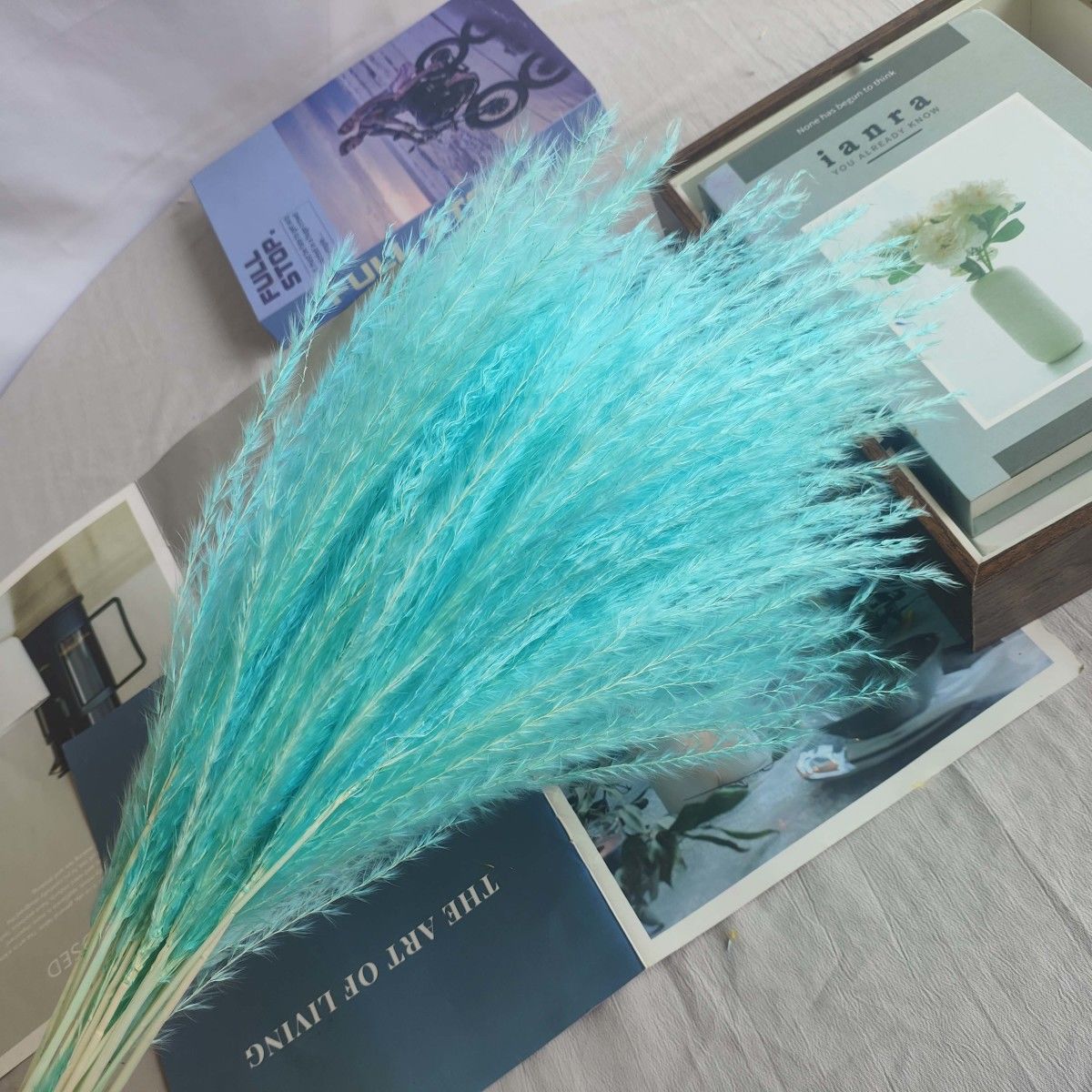Reed Grass