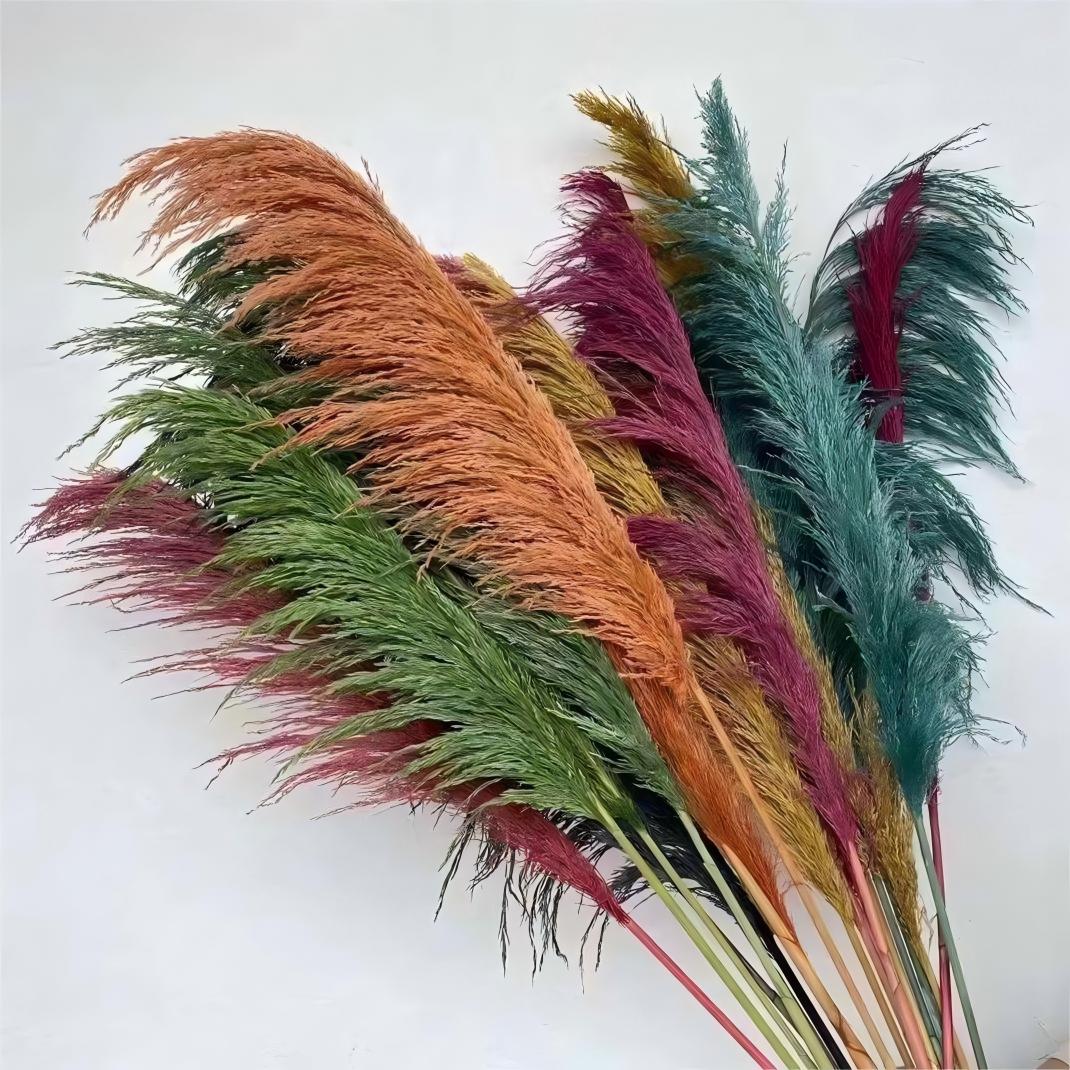 Hardcore Reeds Grass