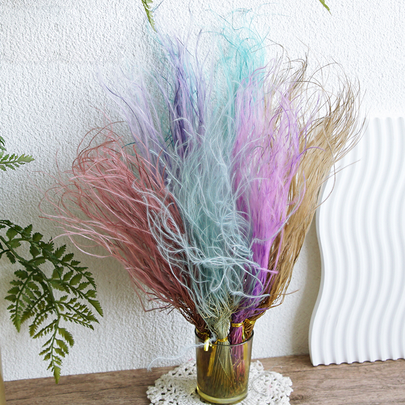 Feather Grass