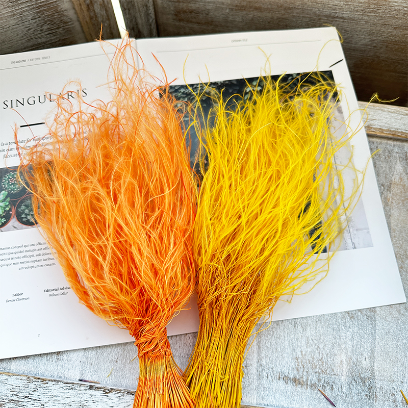 Feather Grass