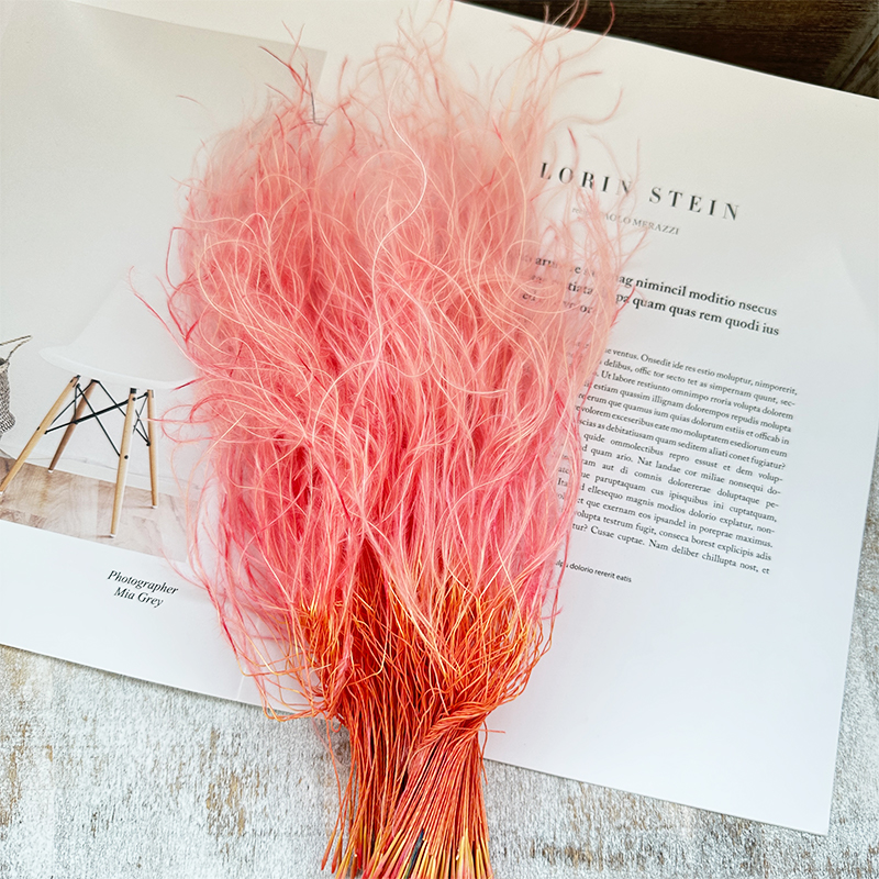 Feather Grass