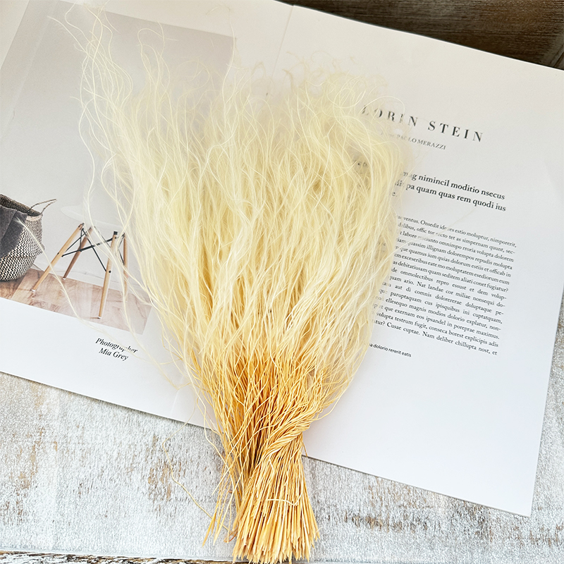 Feather Grass