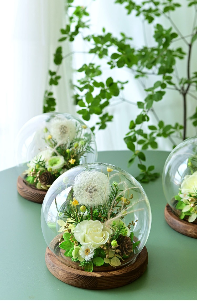 Dandelion in Glass