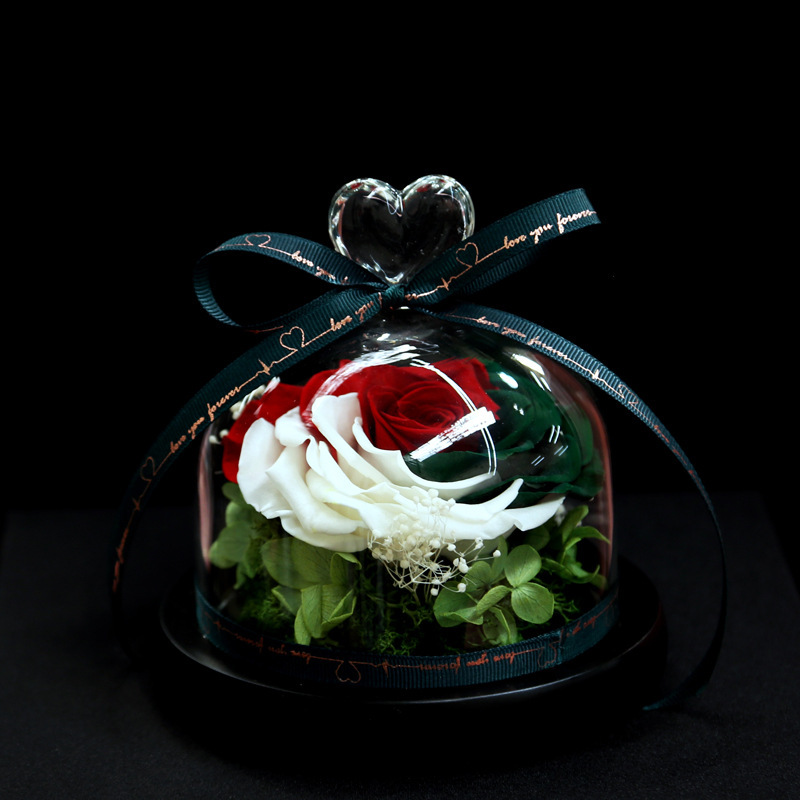 Rainbow rose in glass