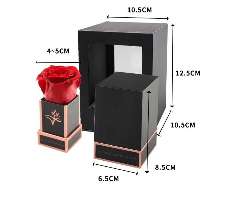 Preserved Rose in Box