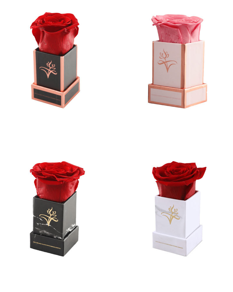 Preserved Rose in Box